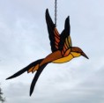 /album/fotogalerij-vogels/img-5921-jpeg/