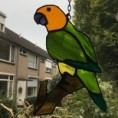 /album/fotogalerij-vogels/img-2708-jpg/